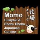 Momo Sukiyaki & Shabu Shabu - Japanese Restaurant logo